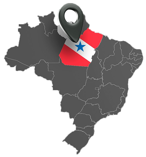 malik-seguranca-empresa-de-seguranca-privada-no-para